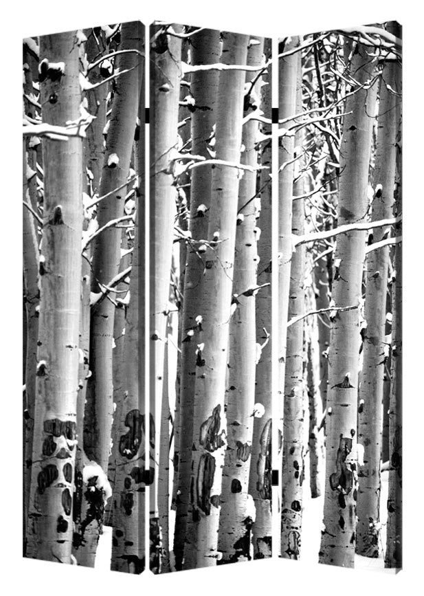 48" X 72" Gray And White Wood Canvas Birch Screen