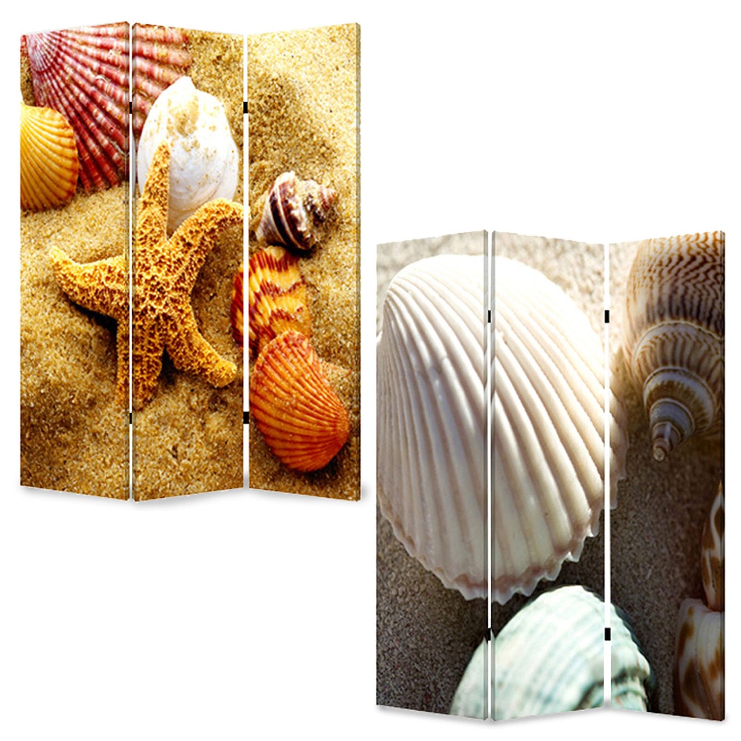 48 X 72 Multi Color Wood Canvas Sea Shell Screen