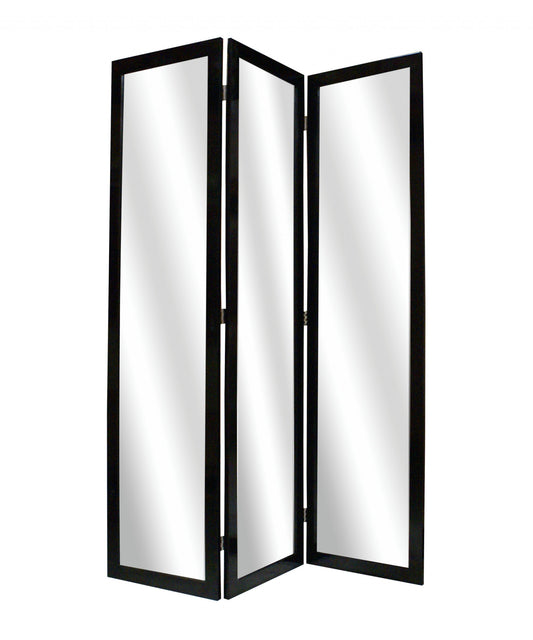 50 X 69 Black Glass & Wood Mirror Screen