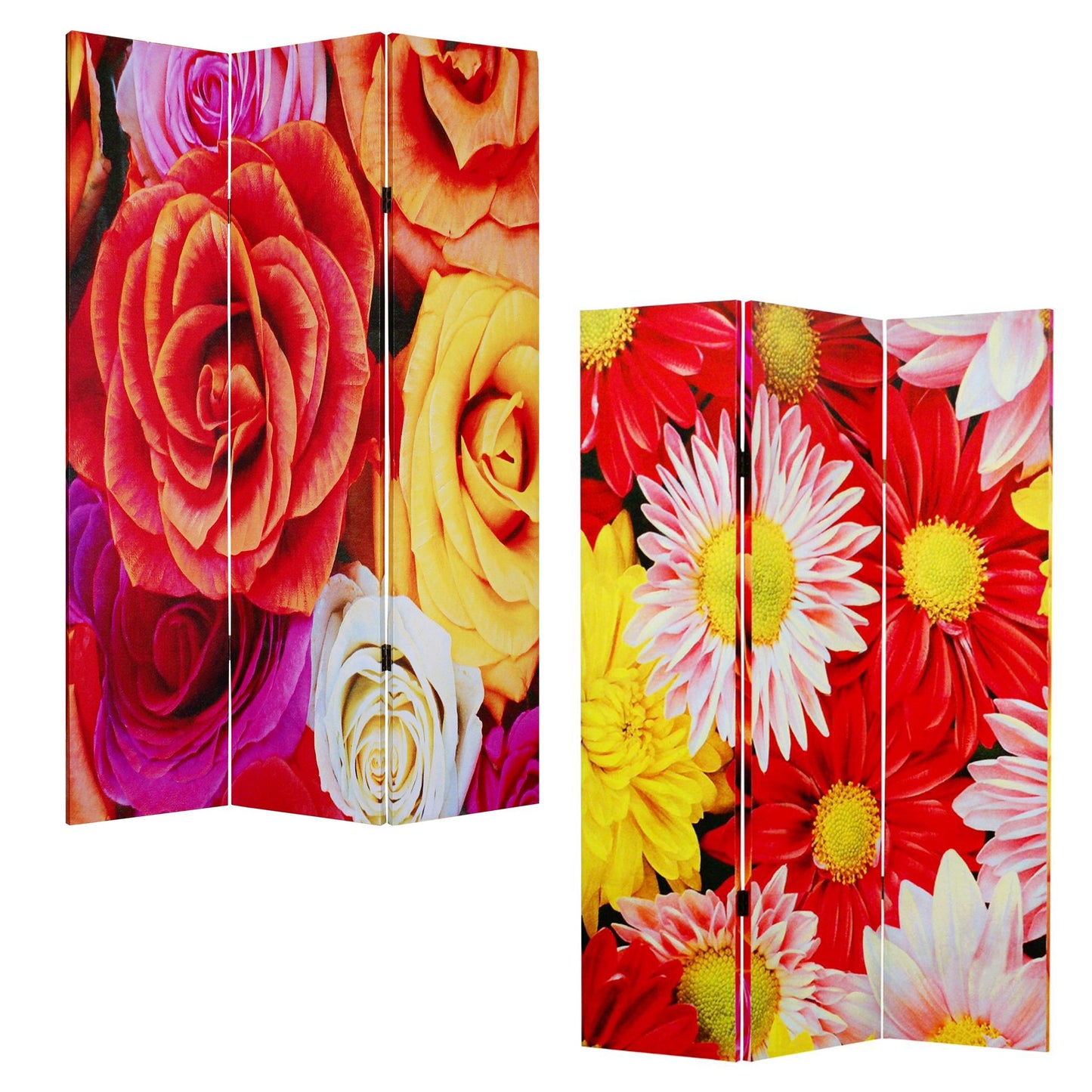 48 X 72 Multi Color Wood Canvas Daisy And Rose Screen