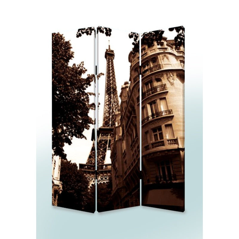 48" X 72" Multi Color Wood Canvas Paris Screen