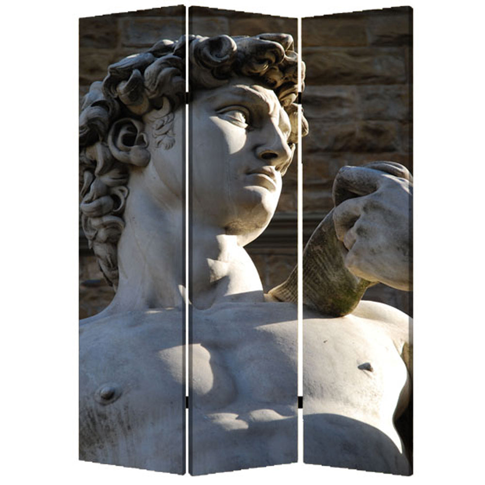 48" X 72" Multi Color Wood Canvas Rome Screen