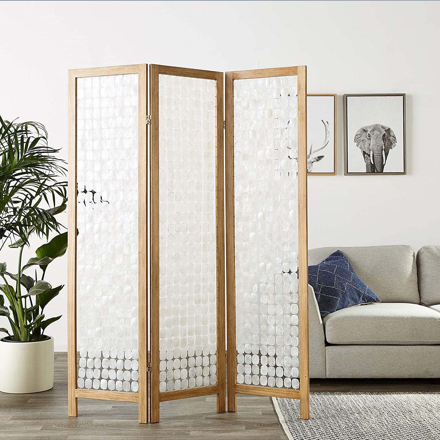 54 X 1.5 X 71 Clear Capiz Shell Screen