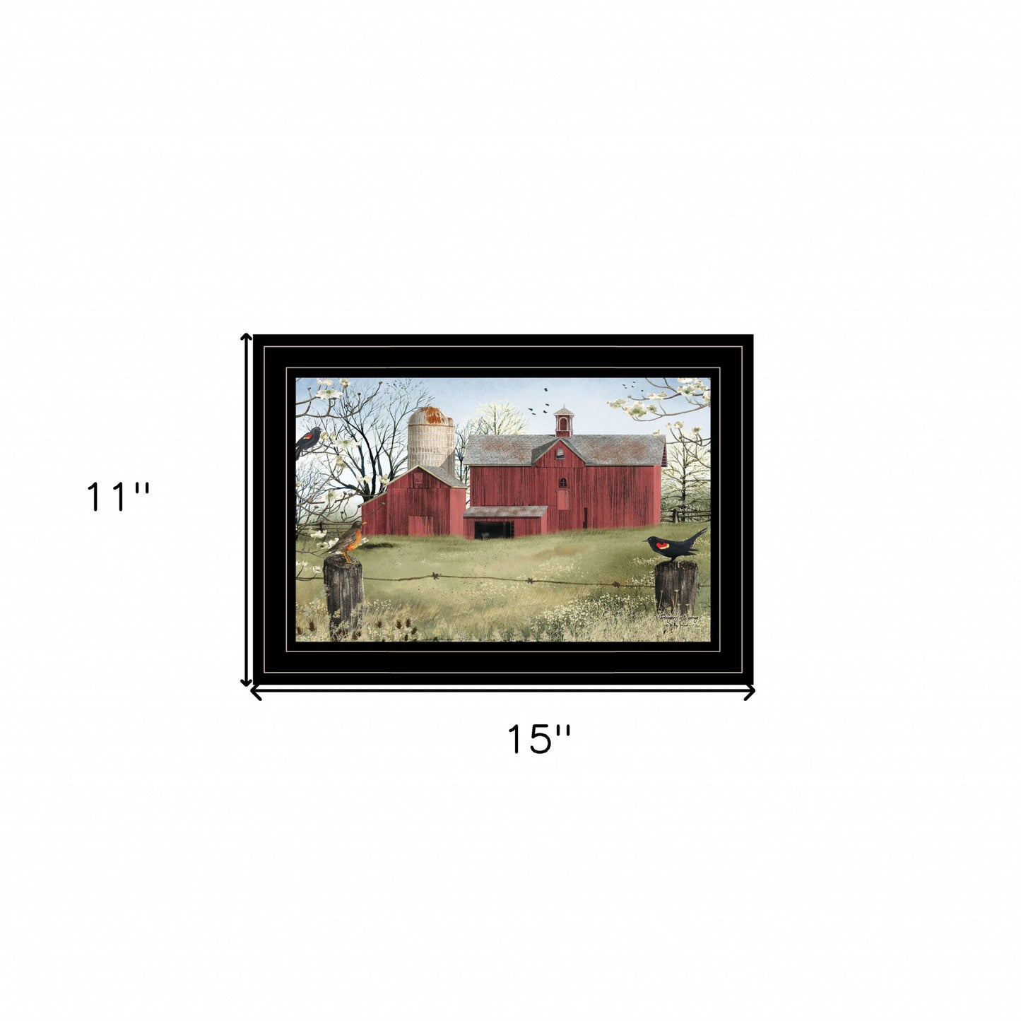 Rustic Red Barn and Birds Black Framed Print Wall Art