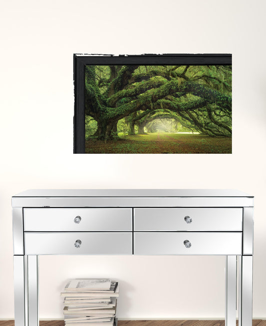 Set Of Two Tree Arbors 2-Piece By Moises Levy Black Frame Black Framed Print Wall Art