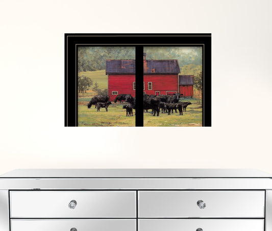 By The Red Barn Herd Of Angus 2 Black Framed Print Wall Art