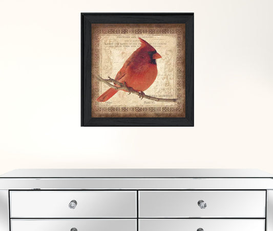 Male Cardinal 2 Black Framed Print Wall Art