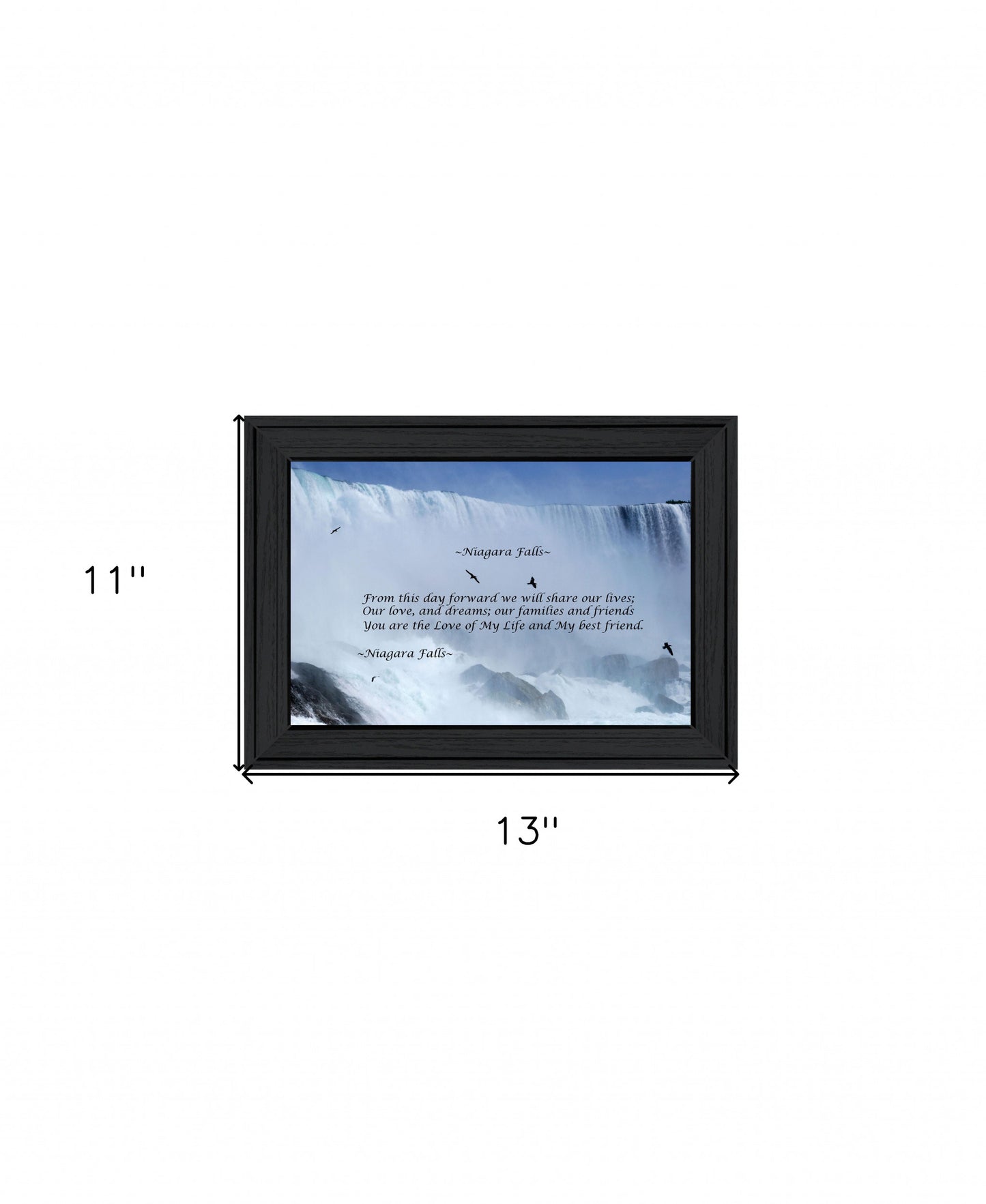 Niagara Falls Black Framed Print Wall Art