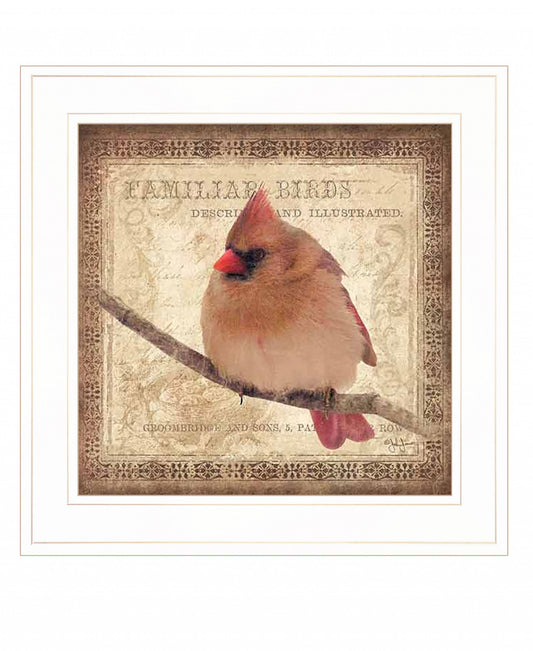 Female Cardinal 1 White Framed Print Wall Art