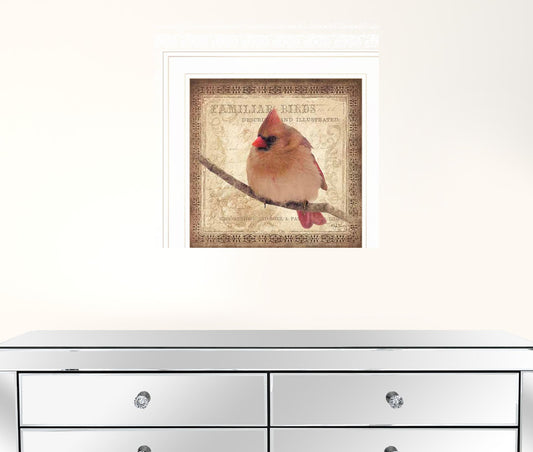 Female Cardinal 1 White Framed Print Wall Art