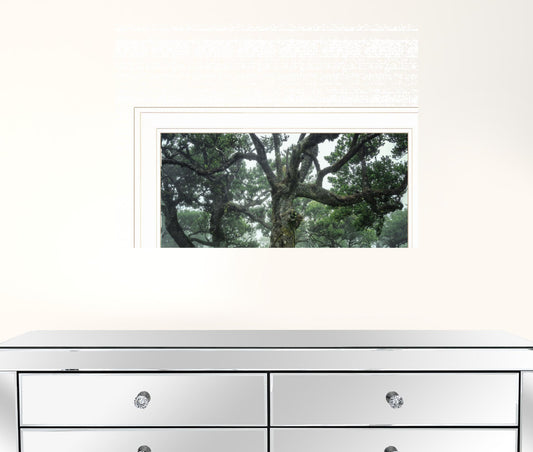 Enchanted Forest I 2 White Framed Print Wall Art