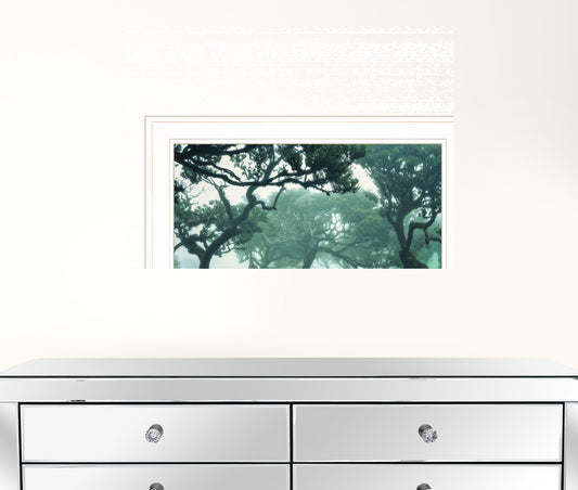 Enchanted Forest II 2 White Framed Print Wall Art