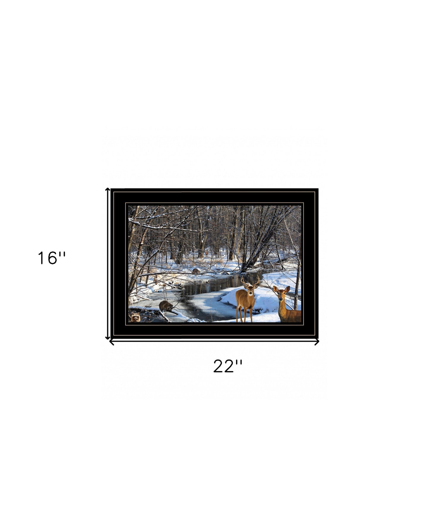 Great Outdoors Nature 2 Black Framed Print Wall Art