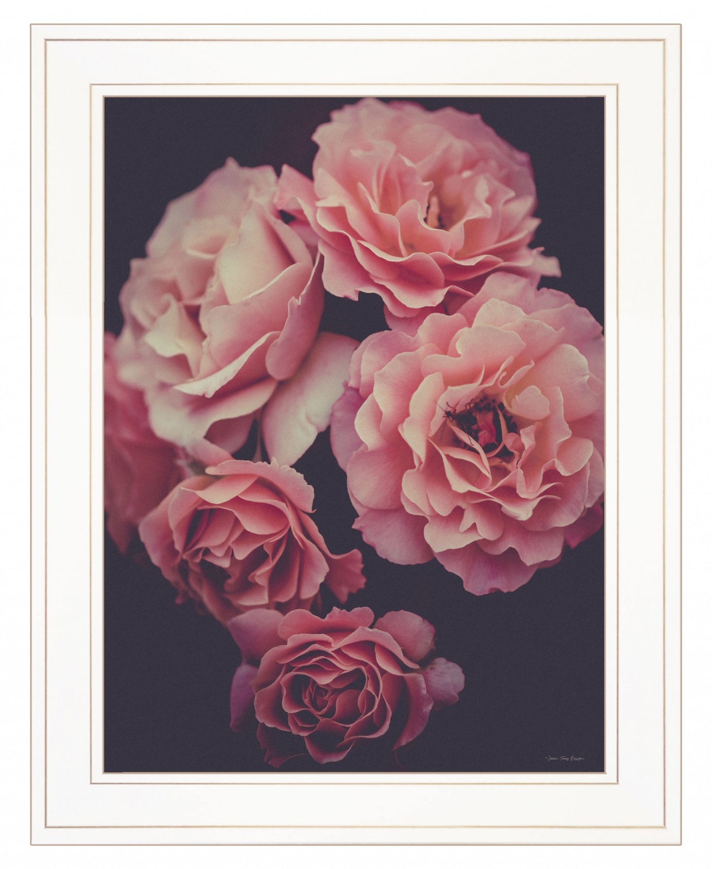 Dreamy Rose 1 White Framed Print Wall Art