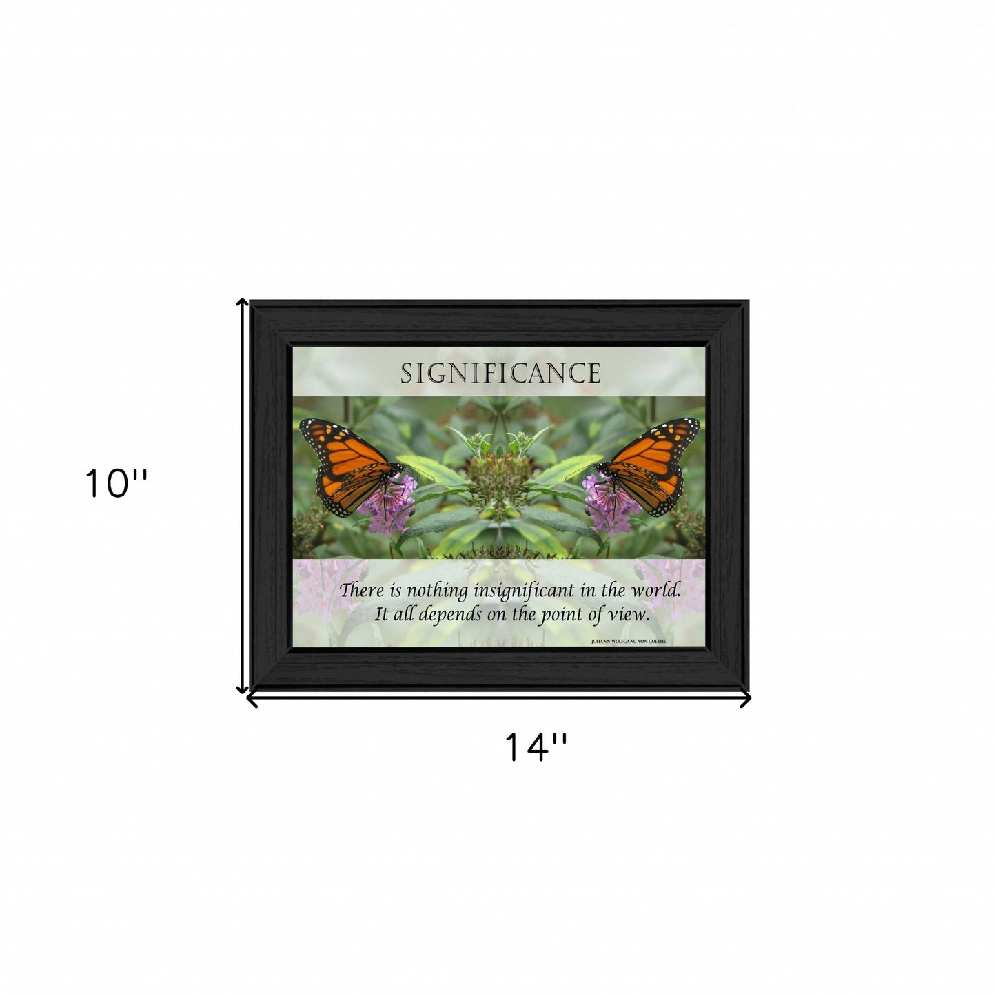 Significance 1 Black Framed Print Wall Art
