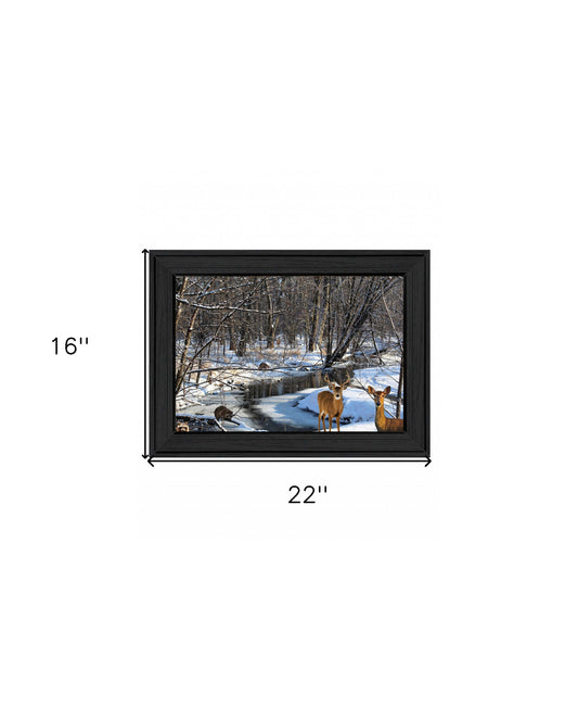 Great Outdoors Nature 1 Black Framed Print Wall Art