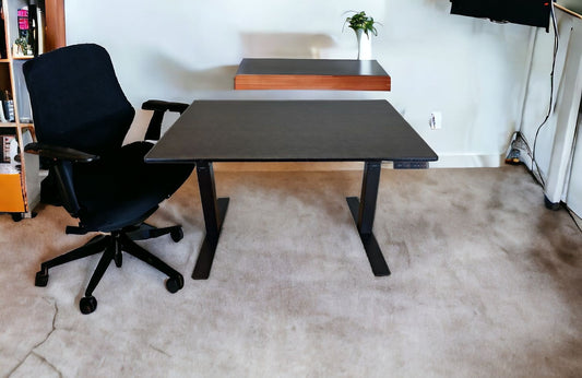 Premier 52" Black Dual Motor Electric Office Adjustable Standing Desk