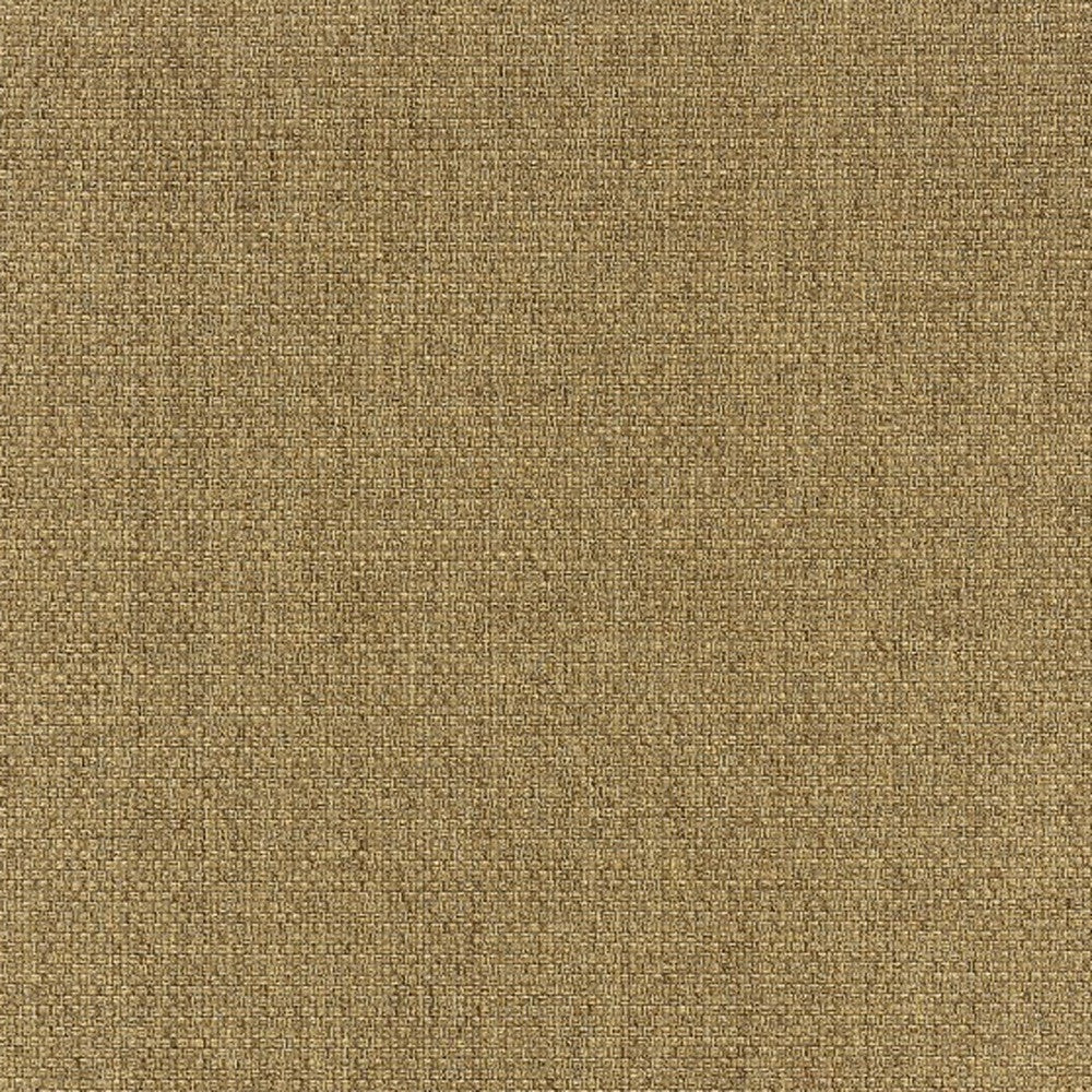2' X 4' Tan Indoor Outdoor Area Rug