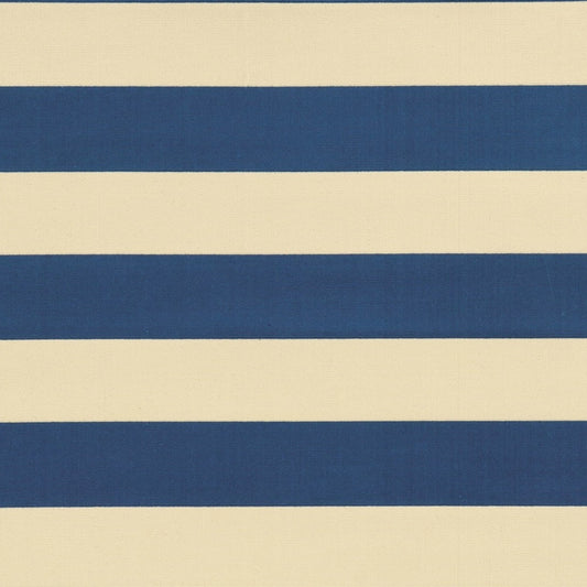 5' x 8' Blue and Ivory Indoor Outdoor Area Rug