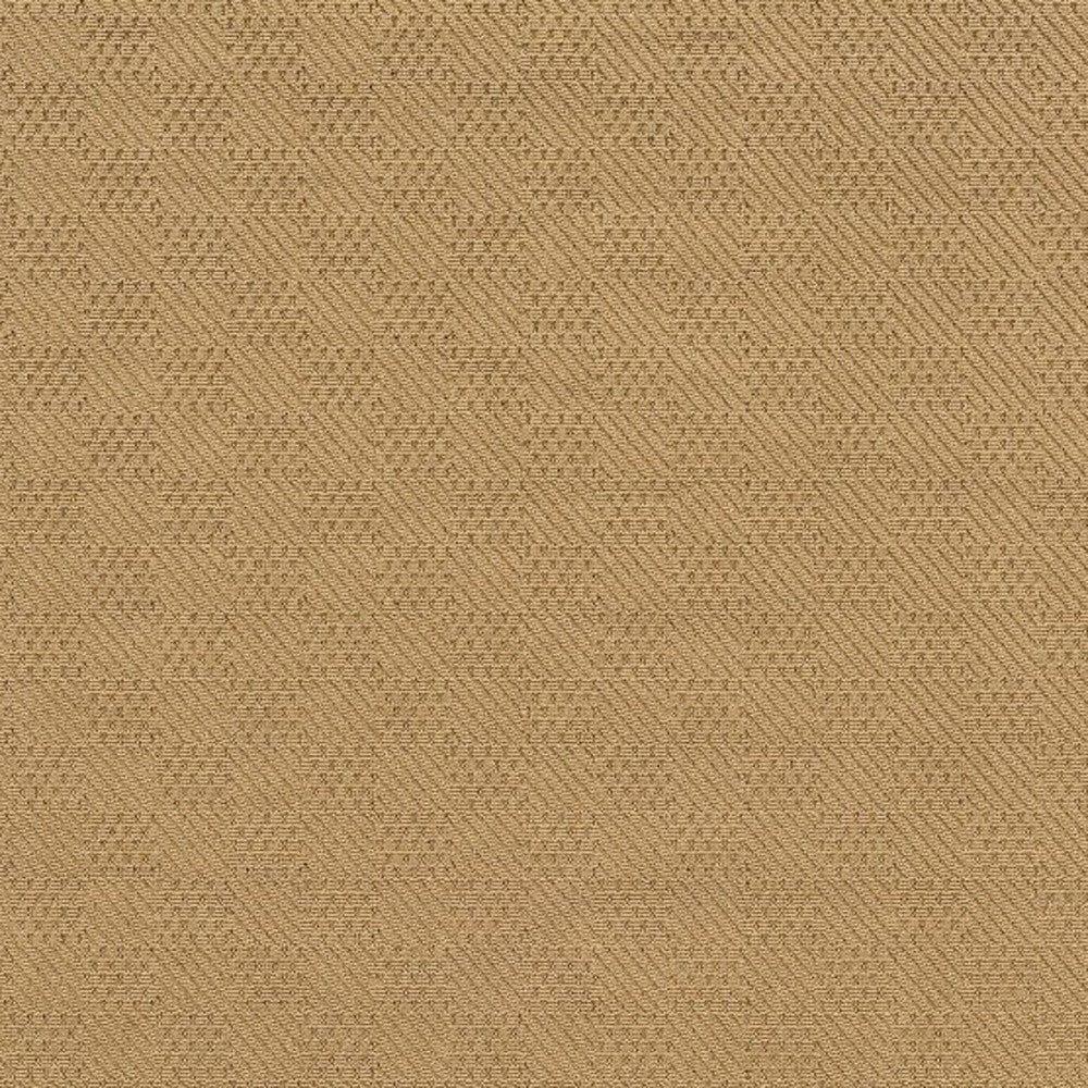 2' X 4' Beige and Black Indoor Outdoor Area Rug