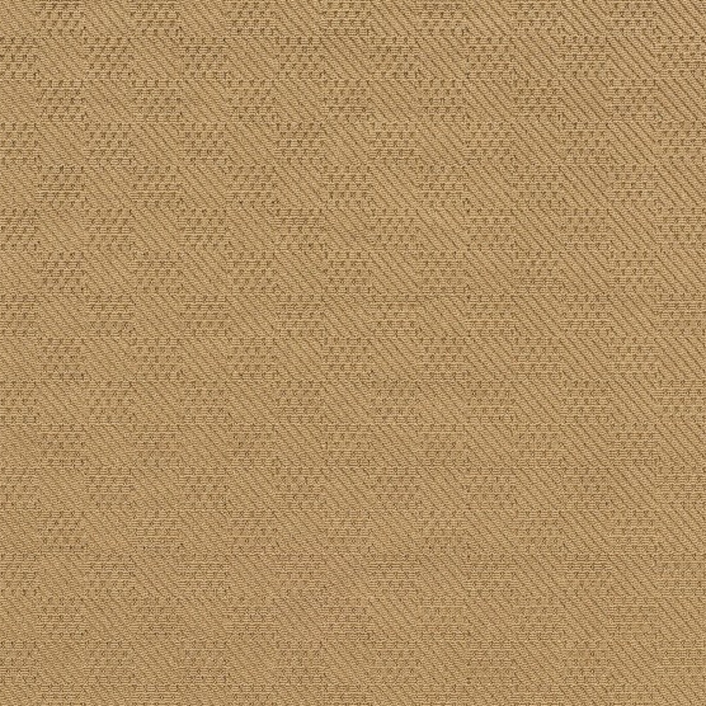 Beige and Black Indoor Outdoor Area Rug