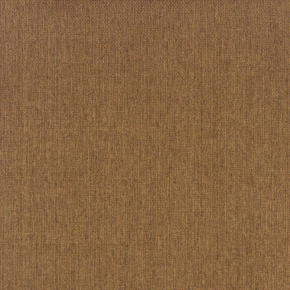 2' X 4' Tan Stain Resistant Indoor Outdoor Area Rug