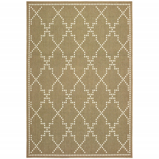 4' x 6' Tan Geometric Stain Resistant Indoor Outdoor Area Rug