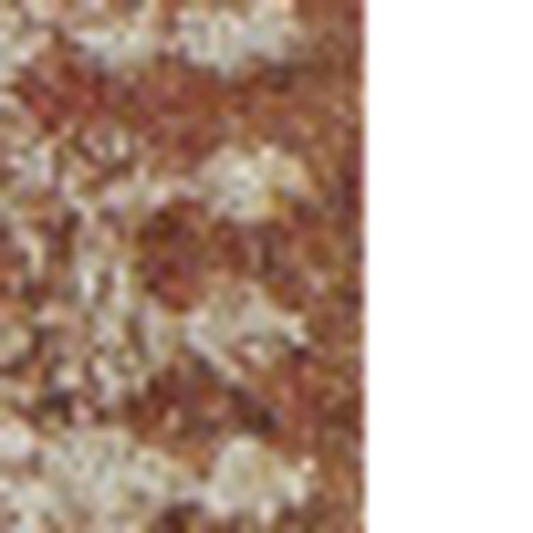 10' x 13' Red and Beige Oriental Area Rug