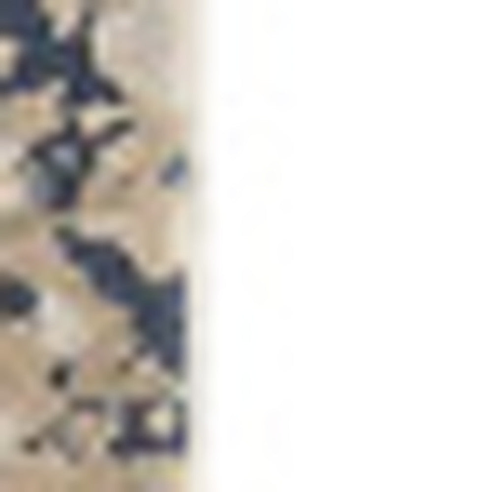 2' x 3' Blue and Ivory Floral Area Rug