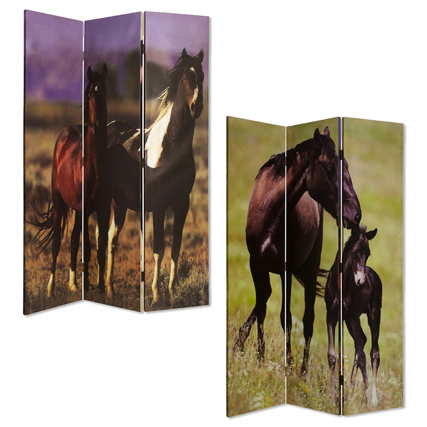 48" X 72" Multi Color Canvas  Screen With Nurturing Mare