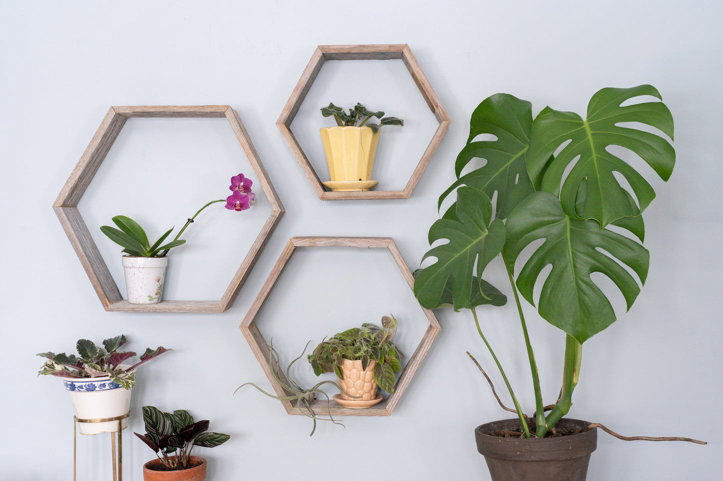 Set Of 3 Hexagon Rustic Natural Weathered Grey Wood Open Box Shelve