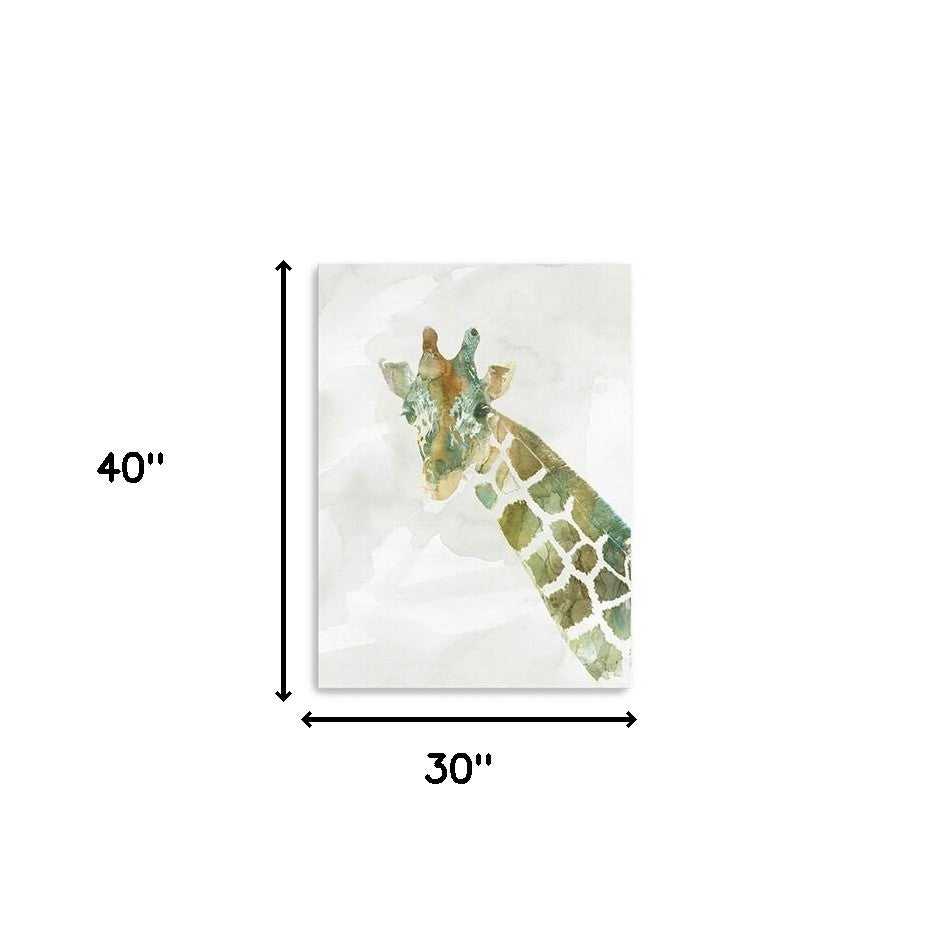 40" x 30" Abstract Marble Watercolor Giraffe Canvas Wall Art