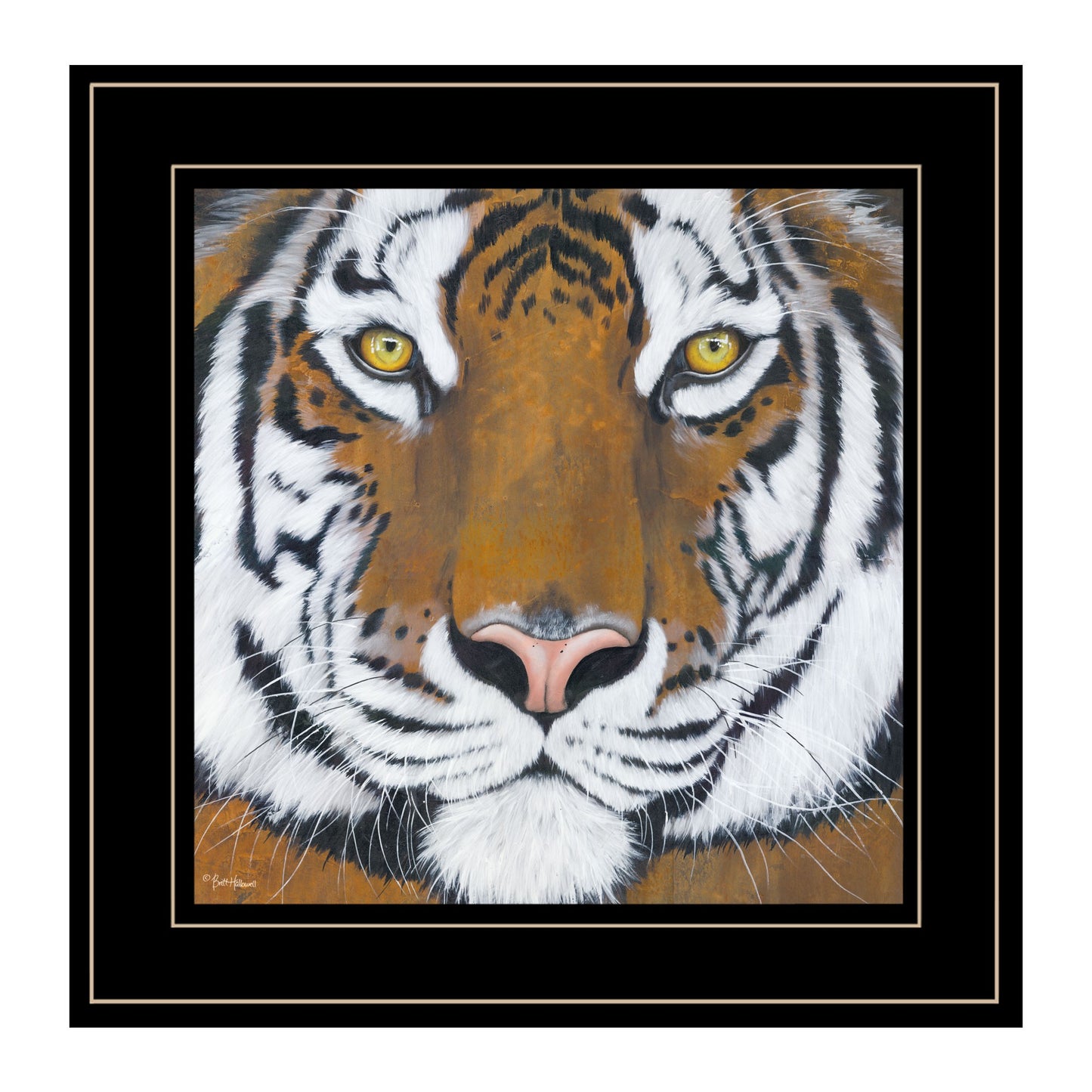 Tiger Gaze 2 Black Framed Print Wall Art