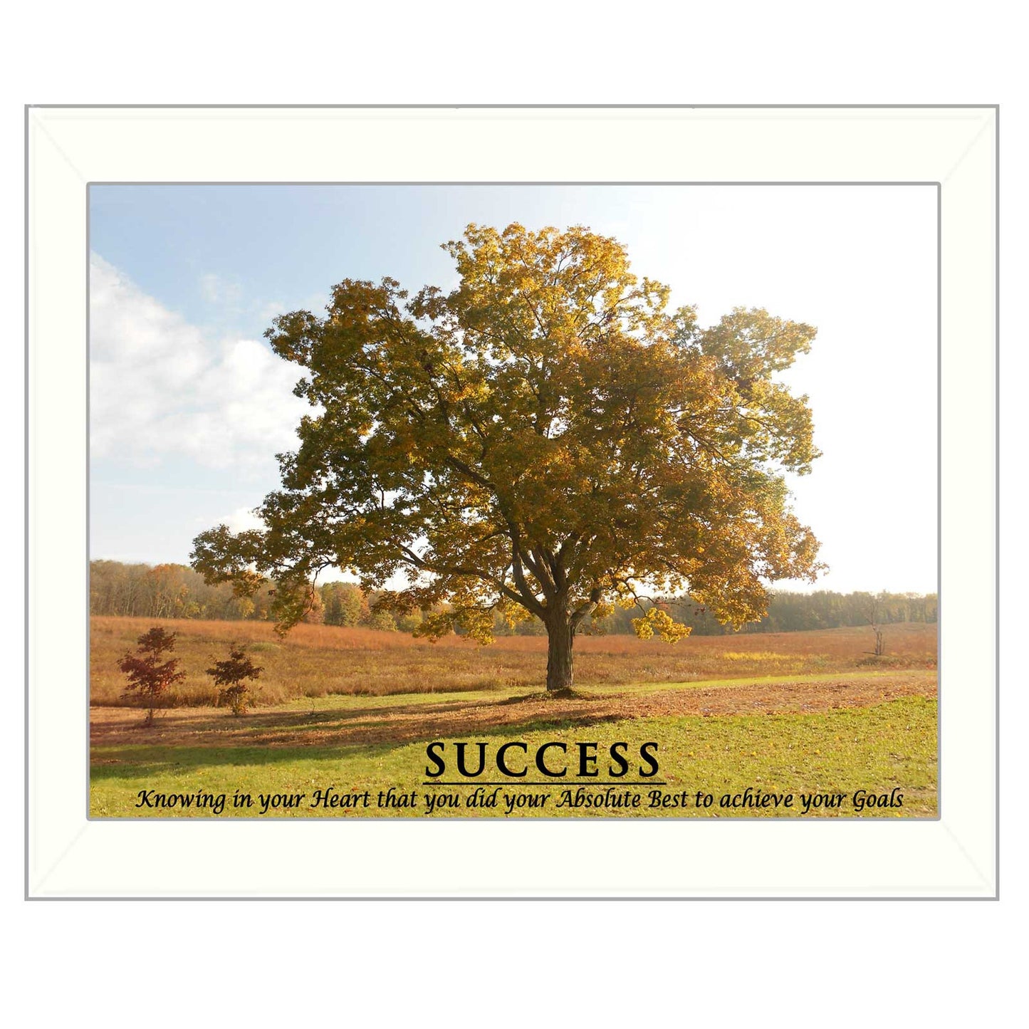 Success 4 White Framed Print Wall Art