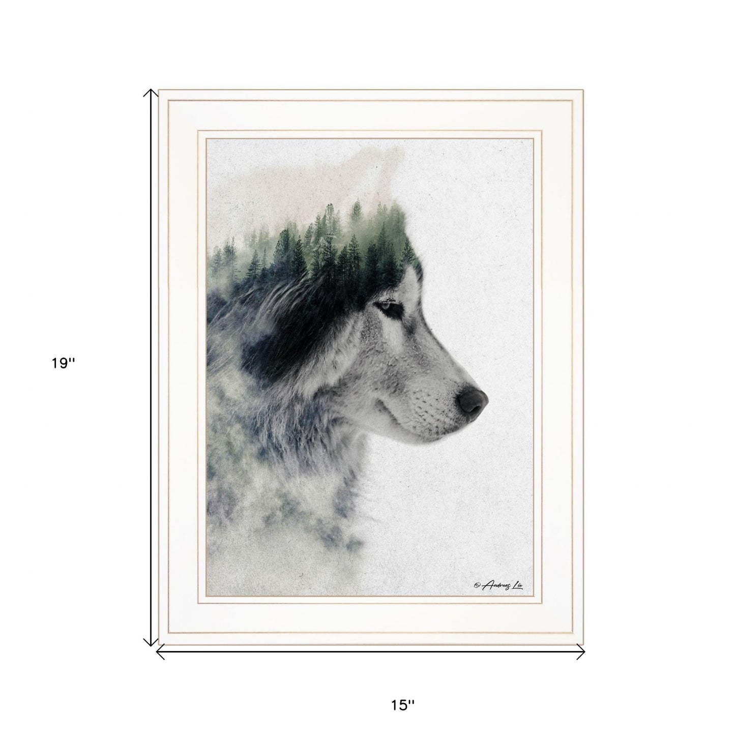 Wolf Stare 1 White Framed Print Wall Art