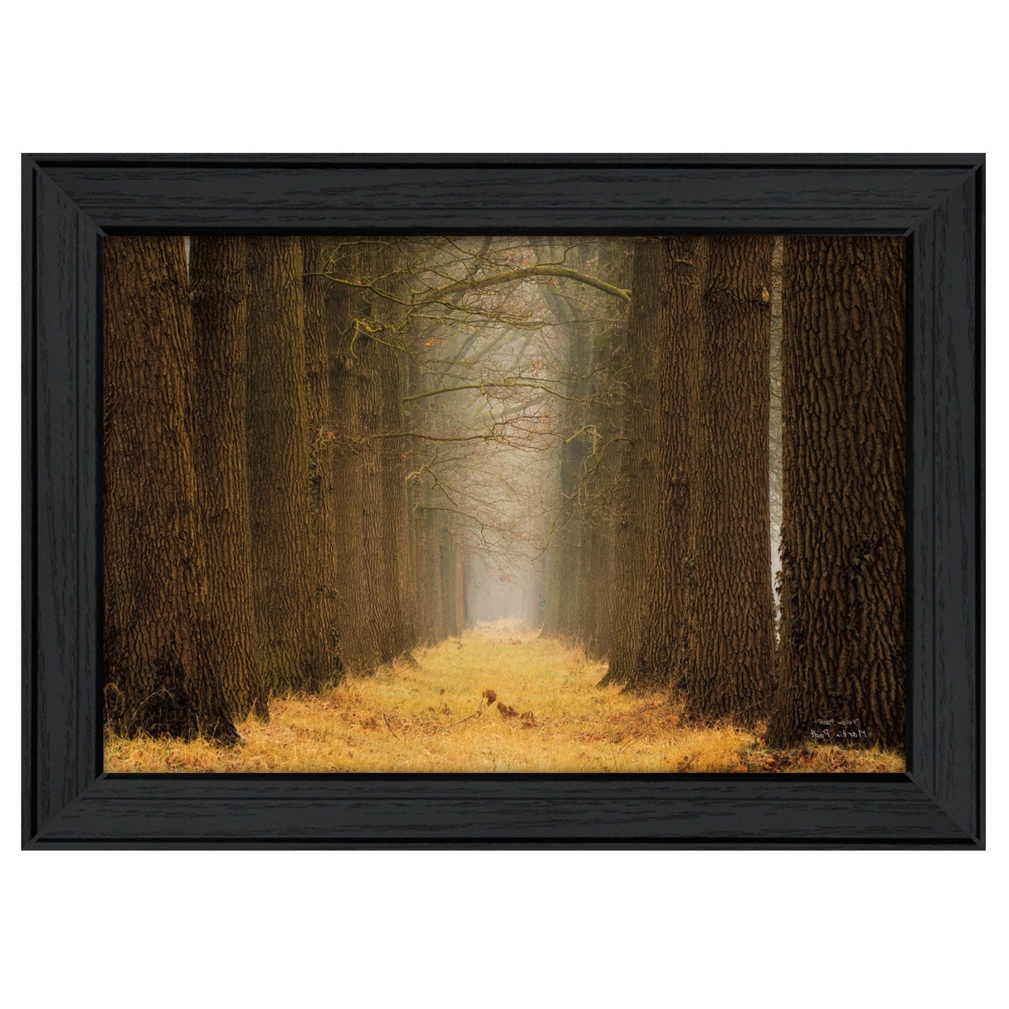 Yellow Path Black Framed Print Wall Art