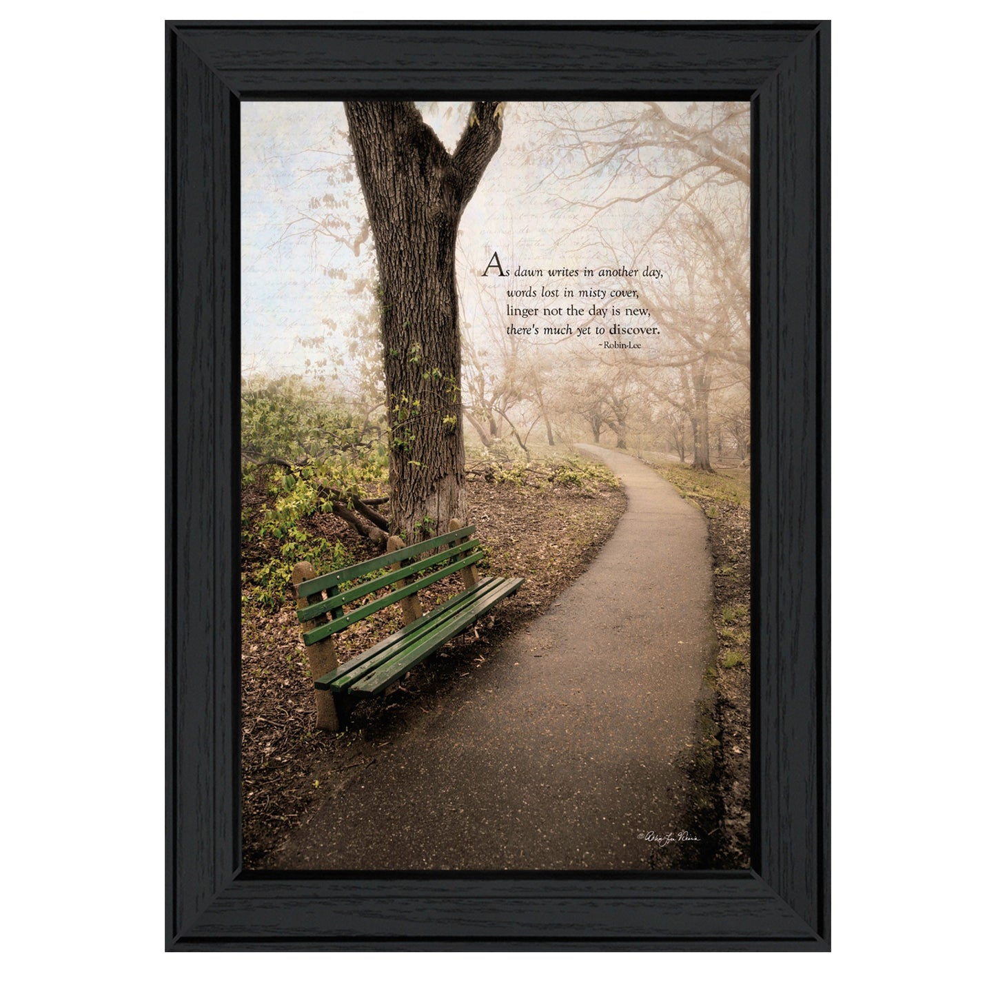 Through The Mist Black Framed Print Wall Art