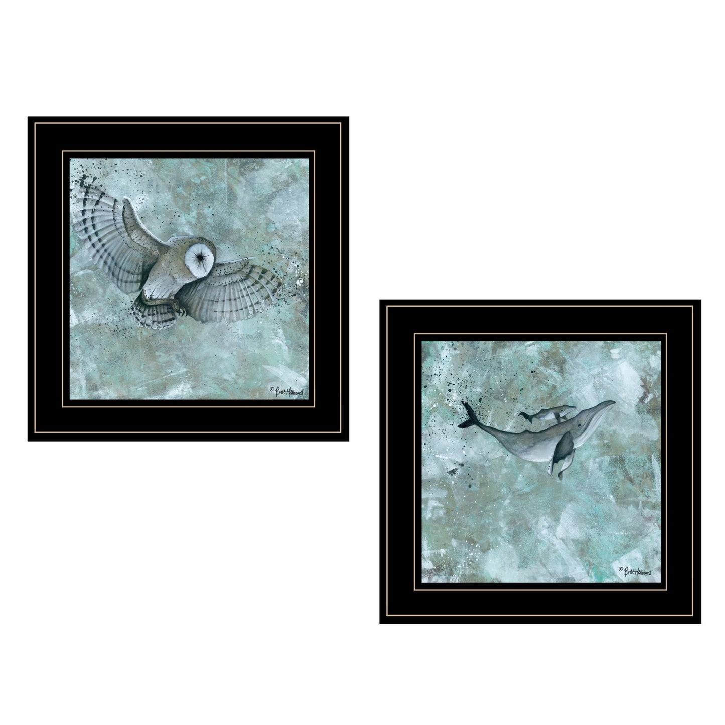 Set Of Two Wildlife 2 Black Framed Print Wall Art