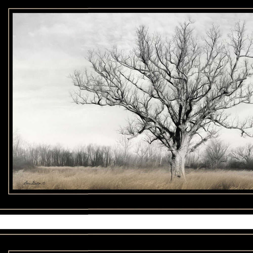 Set Of Two Ohio Fields I 2 Black Framed Print Wall Art