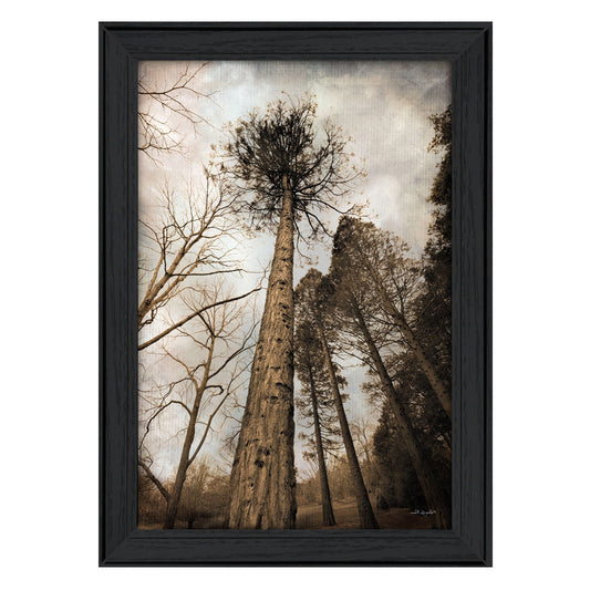 Skys The Limit Black Framed Print Wall Art