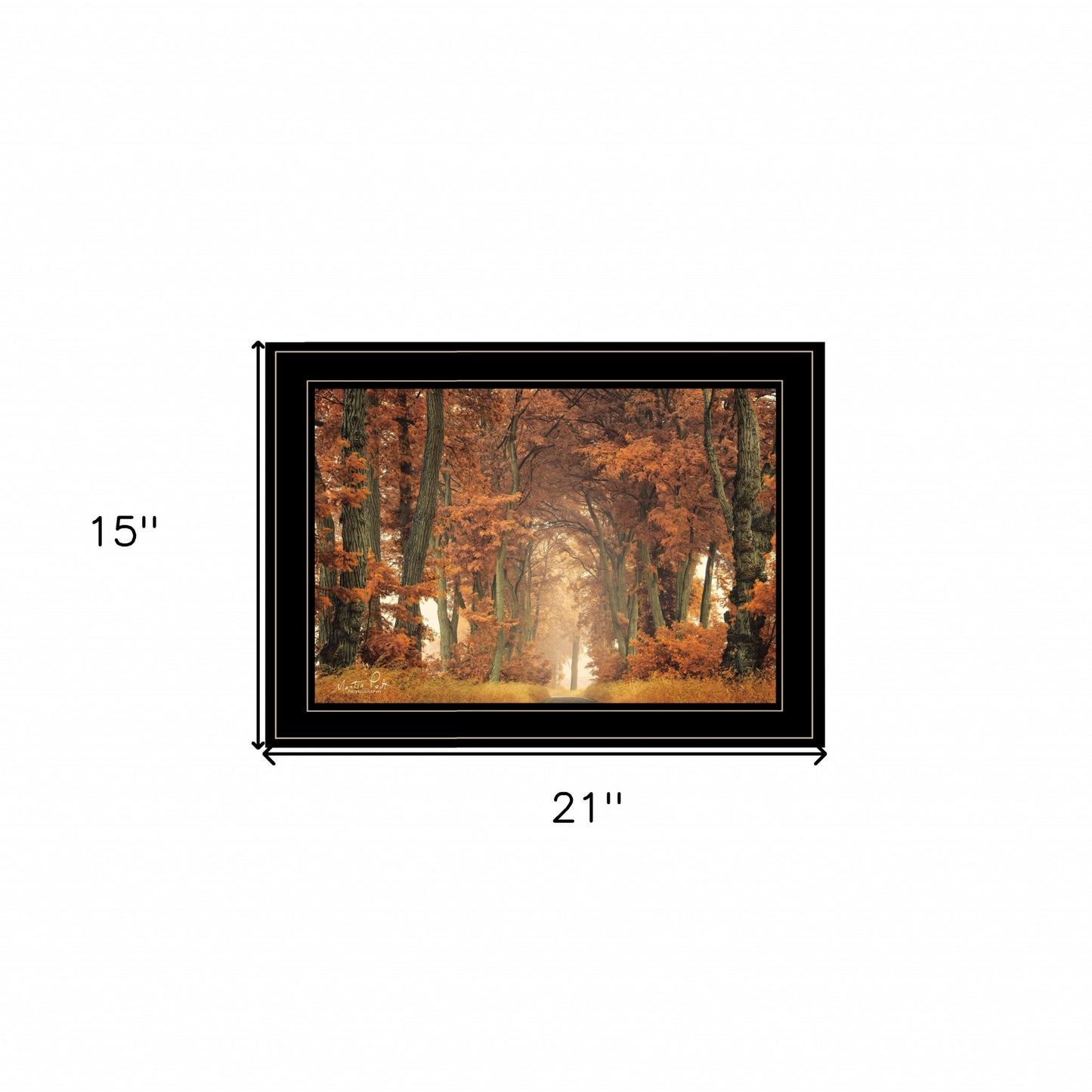 Follow Your Own Way 2 Black Framed Print Wall Art