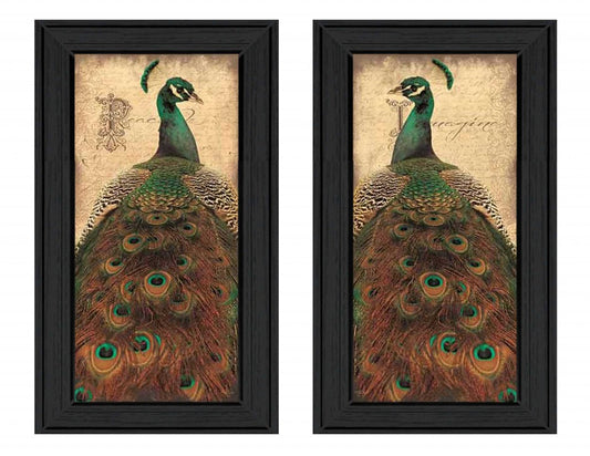 Set Of Two Peacock 2 Black Framed Print Wall Art