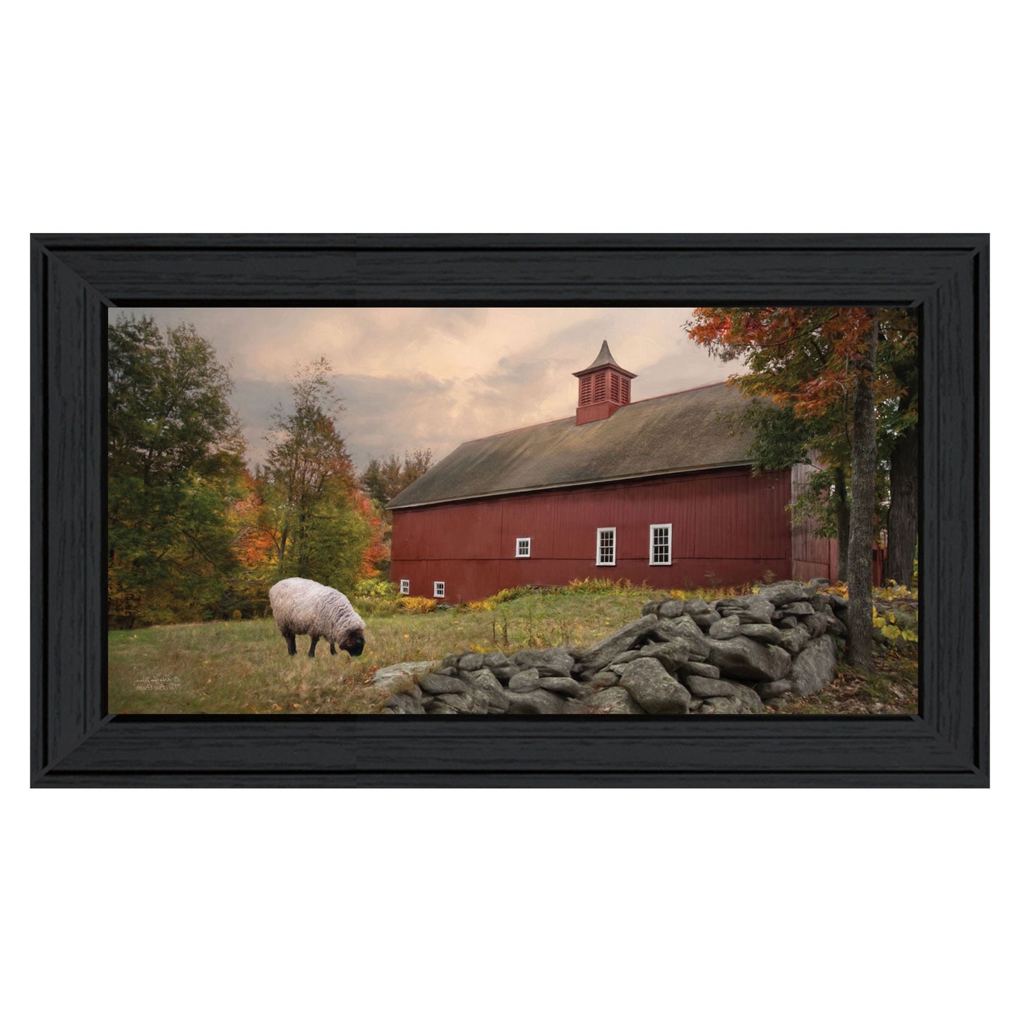 The Lone Gazer Black Framed Print Wall Art