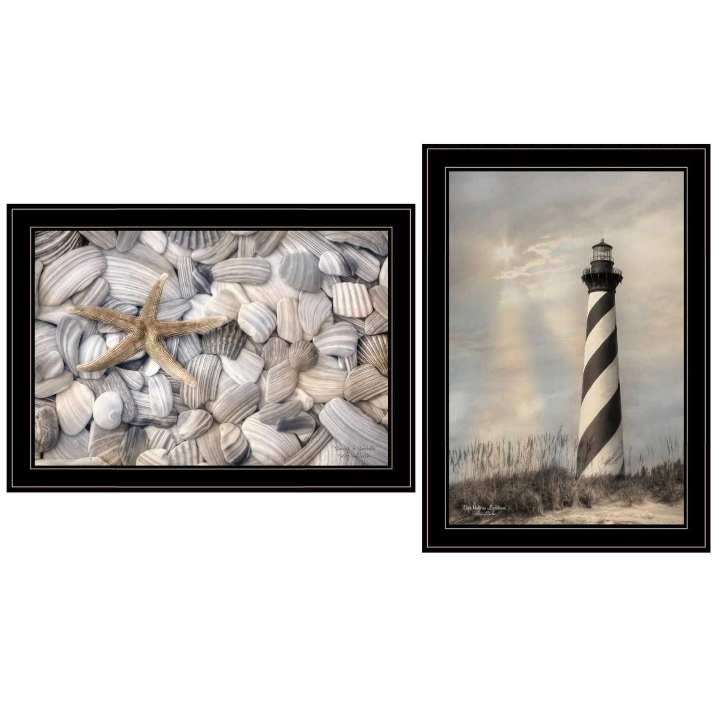 Set Of Two Cape Hatteras Lighthouse And Sea Shells 4 Black Framed Print Wall Art