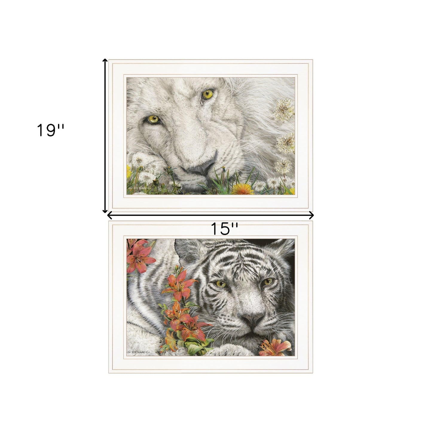 Set Of Two Tiger Lily Dandy Lion 1 White Framed Print Wall Art