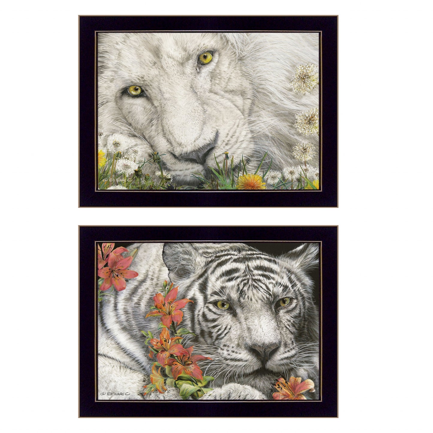 Set Of Two Tiger Lily Dandy Lion 3 Black Framed Print Wall Art