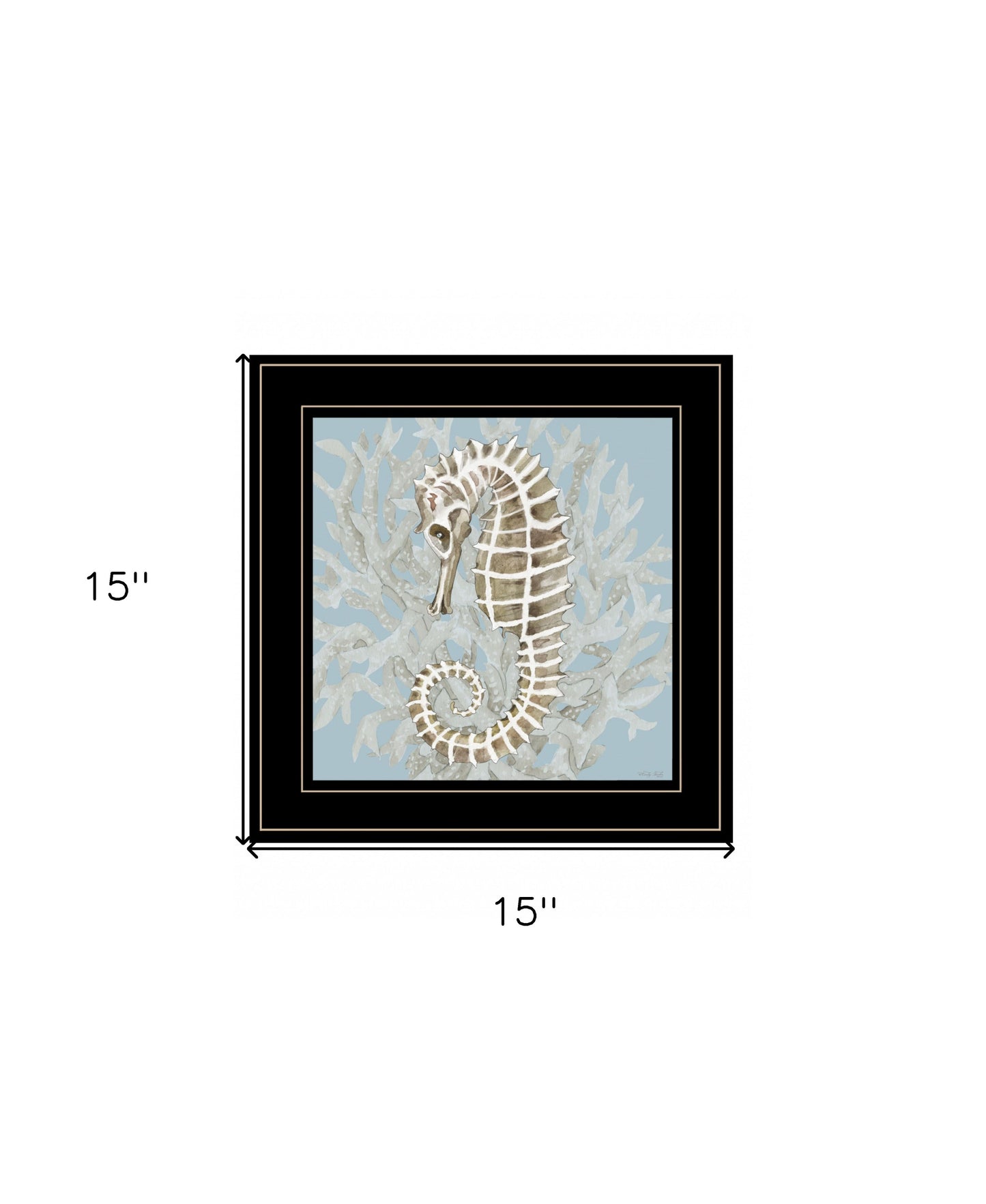 Coral Seahorse II 3 Black Framed Print Wall Art