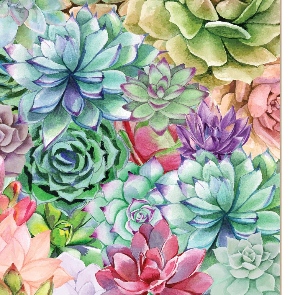 Succulents Paradise 1 White Framed Print Wall Art