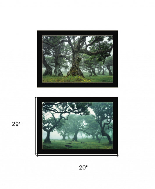 Set Of Two Enchanted Forest 4 Black Framed Print Wall Art