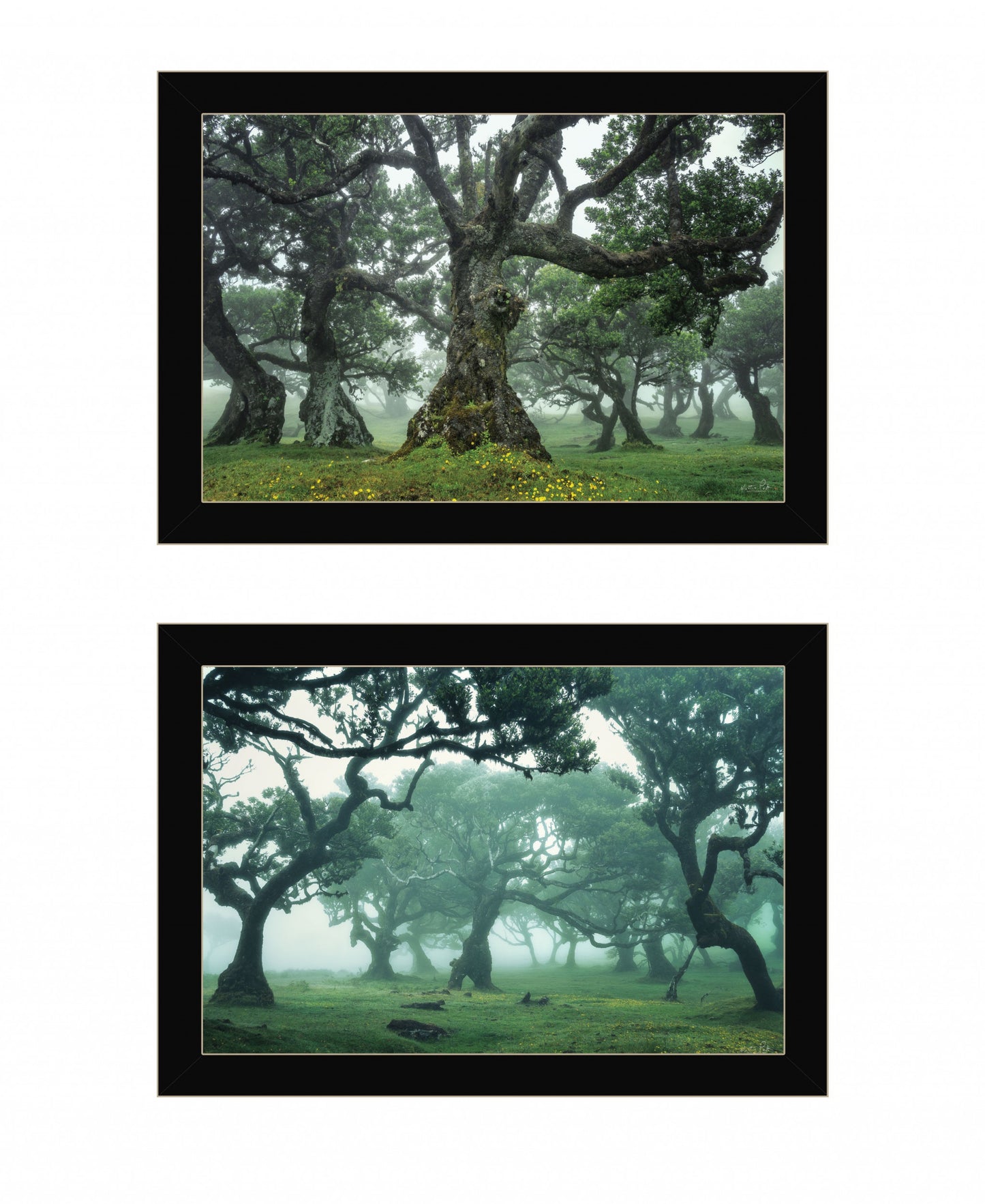 Set Of Two Enchanted Forest 4 Black Framed Print Wall Art